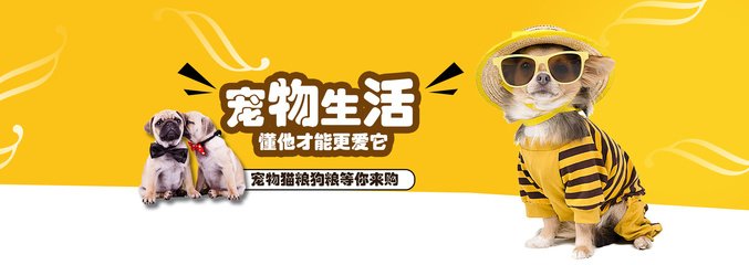 新澳门2025最新款免费